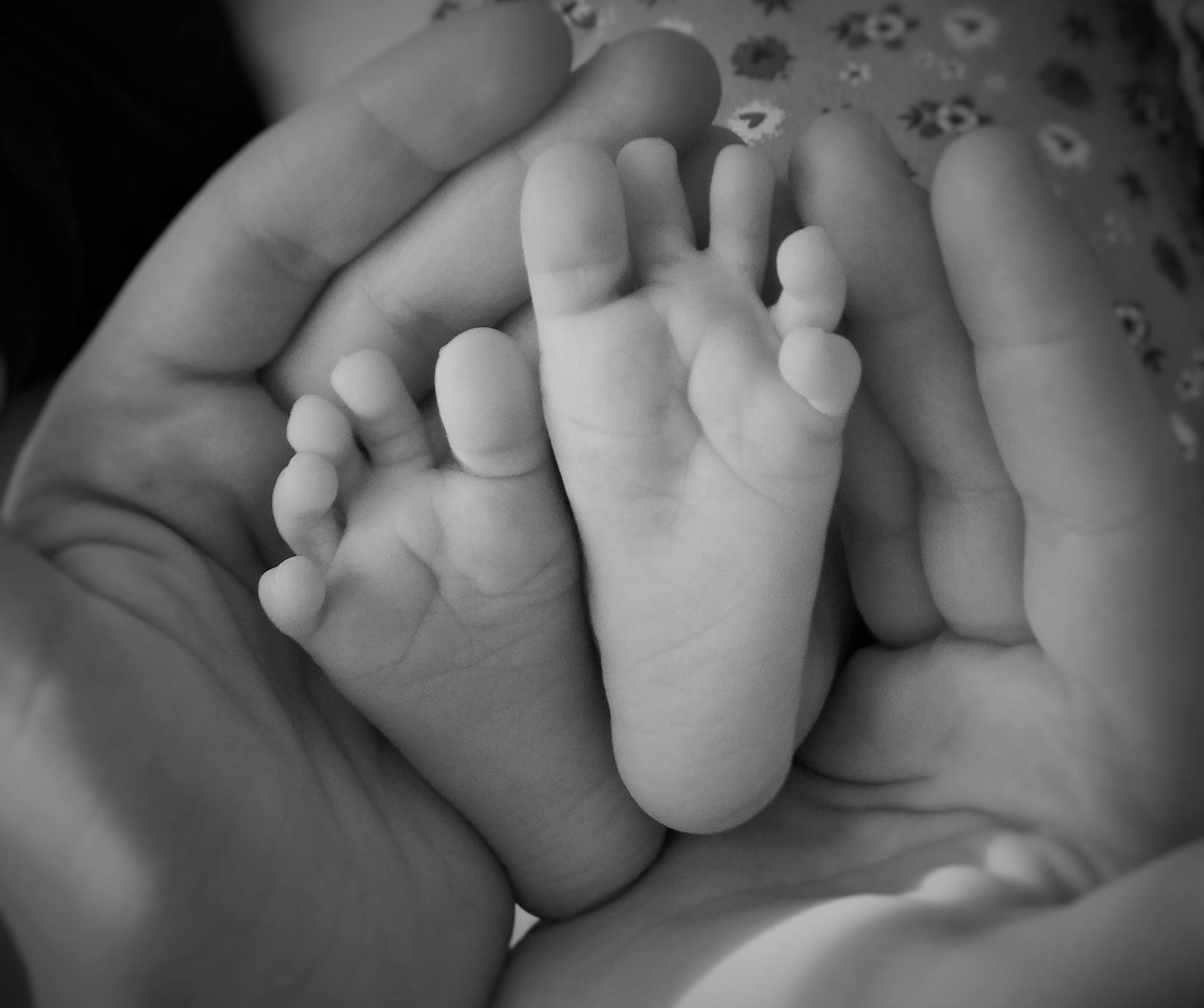 11287322_10204367563454732_1561411568_o